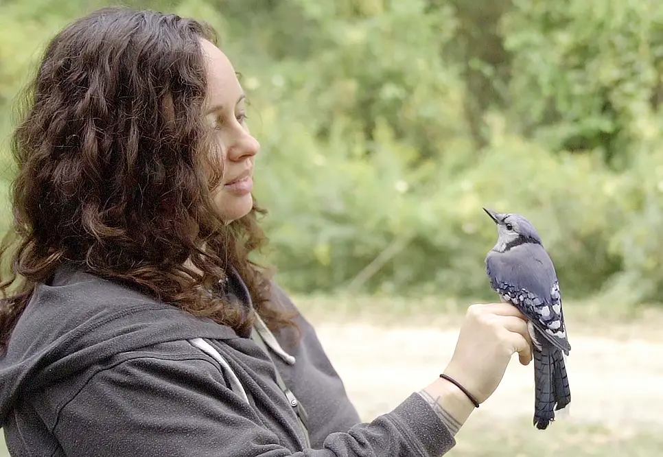 A photograph of Ginny Boehme with a small wild bird perched on her hand.